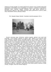 Kražių skerdynės 3 puslapis