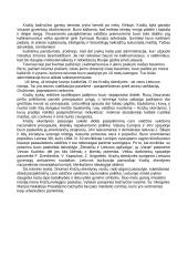 Kražių skerdynės 4 puslapis