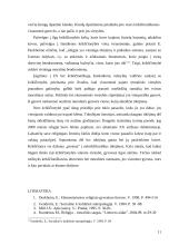 Krikščionybė – visuomenę vienijanti jėga 11 puslapis
