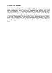 Kryžiaus žygių tikslas ir priežastys 6 puslapis