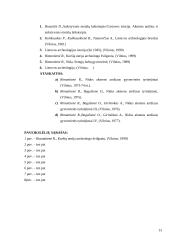 Kuršių Nerija žalvario amžiuje 13 puslapis