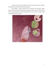 Kvėpavimo organų infekcinės ligos 7 puslapis