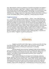 Gyvenimas lageriuose 4 puslapis