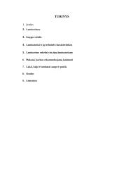 Laminavimas 2 puslapis