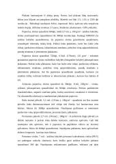 Laminavimas 16 puslapis