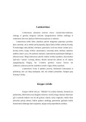 Laminavimas 4 puslapis