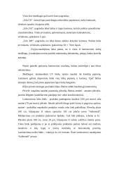 Laminavimas 6 puslapis