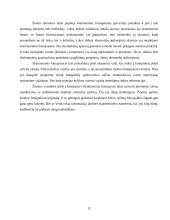 Leidinio maketo paruošimo etapai 11 puslapis