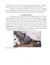 Leidinio maketo paruošimo etapai 13 puslapis