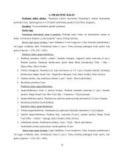 Leidinio maketo paruošimo etapai 18 puslapis