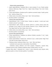 Leidinio maketo paruošimo etapai 19 puslapis