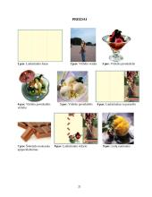 Leidinio maketo paruošimo etapai 20 puslapis