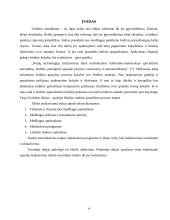 Leidinio maketo paruošimo etapai 3 puslapis