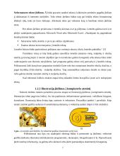 Leidinio maketo paruošimo etapai 6 puslapis