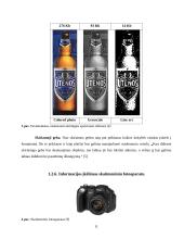 Leidinio maketo paruošimo etapai 10 puslapis