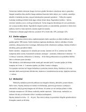 Lenkijos Respublika, jos charakteristika 7 puslapis