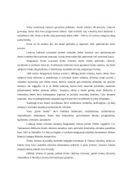 Lietuva parlamentiniu laikotarpiu 5 puslapis