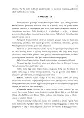 Lietuvių etnologija 13 puslapis