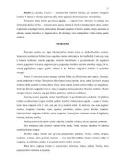 Lietuvių etnologija 17 puslapis