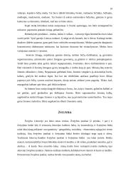 Lietuvių etnologija 10 puslapis