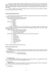 Lietuvių tautos saviraiškos sritis - dainos 2 puslapis