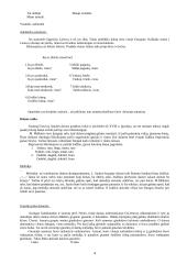 Lietuvių tautos saviraiškos sritis - dainos 4 puslapis