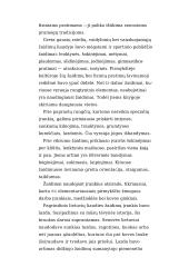 Lietuvių liaudies fizinė kultūra. Žaidimai 12 puslapis