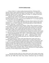 Lietuvių tautinės mažumos 3 puslapis