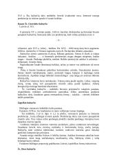 Lietuvos architektūra 11 puslapis