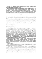 Lietuvos architektūra 12 puslapis