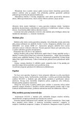 Lietuvos architektūra 4 puslapis