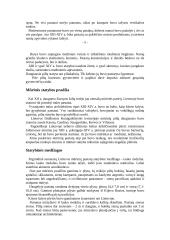 Lietuvos architektūra 5 puslapis