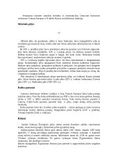 Lietuvos architektūra 6 puslapis