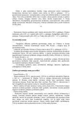 Lietuvos architektūra 9 puslapis