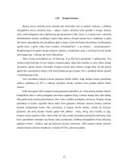 Lietuvos Didžiosios Kunigaikštystės (LDK) teismai iki XVI amžiaus vidurio reformų 11 puslapis