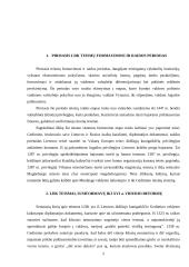 Lietuvos Didžiosios Kunigaikštystės (LDK) teismai iki XVI amžiaus vidurio reformų 3 puslapis