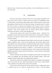 Lietuvos Didžiosios Kunigaikštystės (LDK) teismai iki XVI amžiaus vidurio reformų 9 puslapis