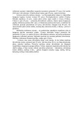 Lietuvos dirvožemių klasifikacija 13 puslapis