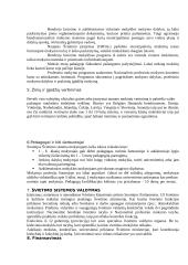 Lietuvos ir Suomijos švietimo sistemų palyginimas 17 puslapis