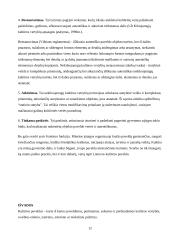 Lietuvos kultūros paveldo apsauga 12 puslapis