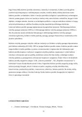 Lietuvos kultūros paveldo apsauga 13 puslapis