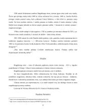 Lietuvos magdeburginių miestų rotušės 8 puslapis