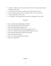 Lietuvos magdeburginių miestų rotušės 9 puslapis