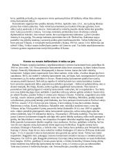 Lietuvos nepriklausomybės kovos (1918 - 1920 metais) 3 puslapis