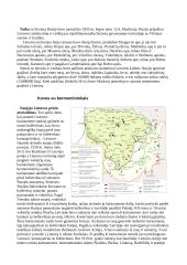 Lietuvos nepriklausomybės kovos (1918 - 1920 metais) 4 puslapis