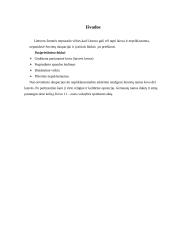 Lietuvos okupacija 11 puslapis