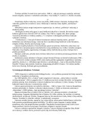 Lietuvos okupacija 4 puslapis