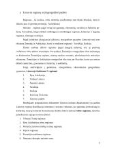 Lietuvos regionų sociogeografinė padėtis 3 puslapis