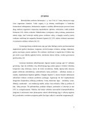 Lietuvos vaikų sergamumo ir mirtingumo rodiklių pokyčiai  2000-2007 metais 3 puslapis