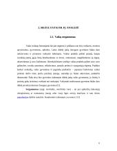 Lietuvos vaikų sergamumo ir mirtingumo rodiklių pokyčiai  2000-2007 metais 6 puslapis